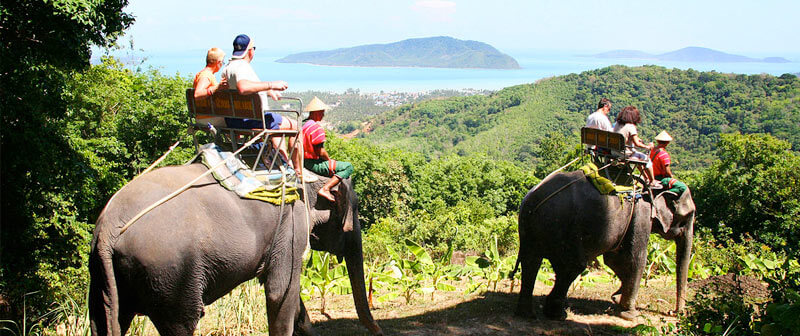 Tour and Attraction in Phuket Top Tours Phuket