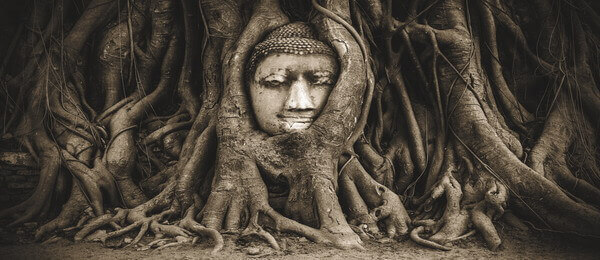 Ayutthaya Historical Park Ayutthaya Historical Park