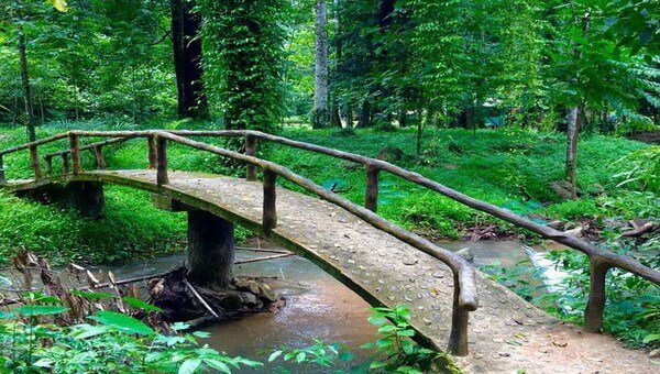 khao-phanom-bencha Khao Phanom Bencha