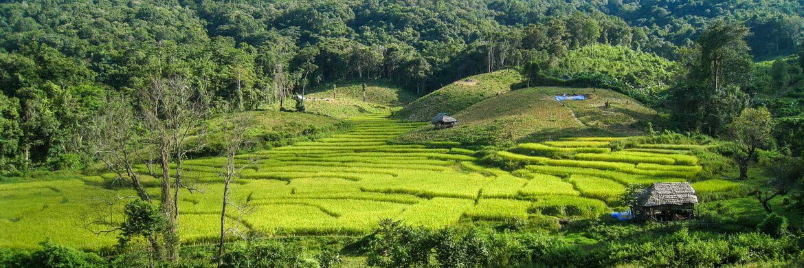 Khao Yai National Park | Thailand