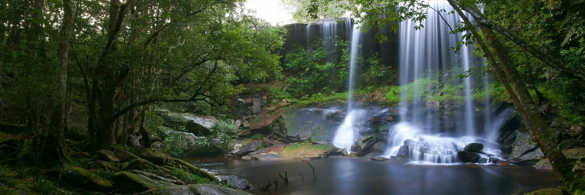 Phu Kradueng National Park | Thailand